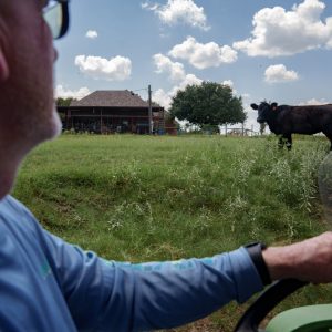 Texas bill seeking to keep toxic “forever chemicals” off farmland misses key deadline