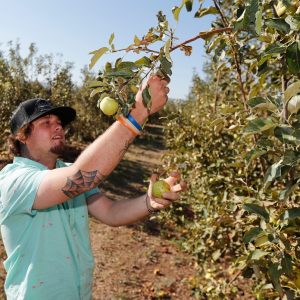 Squeezed by inflation and politics, a Texas food bank gets creative to keep people fed