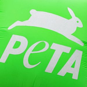 PETA protests Biden turkey pardon with ‘Hell on Wheels’ display, subliminal messaging to make people go vegan