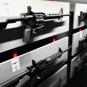 NM lawmakers warn sweeping gun control bill primed for passage shows Dems ‘are dead-set on disarming us’