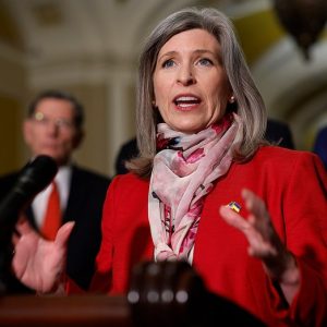 Republican senators roll out DOGE budget proposals for Trump’s ‘big, beautiful bill’