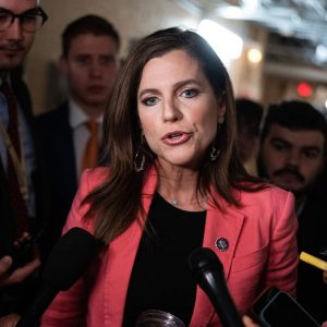 $10M in taxpayer funds spent creating transgender animals last year: Rep. Nancy Mace