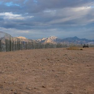 El Paso on high alert as dangerous Venezuelan gang described as ‘MS-13 on steroids’ surges into US