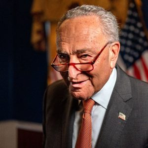 Republicans say Schumer must act on voter proof of citizenship bill if Democrat ‘really cares about democracy’