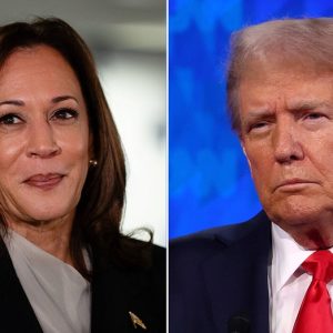Pollster finds ‘astounding change’ in Democratic electorate since Harris’ ascension