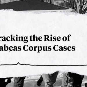 Immigrants challenging their detention have hit a historic high. Here’s a look at the increase.