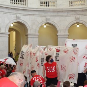 US Capitol Police arrest Jewish activists calling for Israel arms embargo