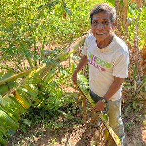 With song and seed, Brazil’s Indigenous Maxakali confront climate change