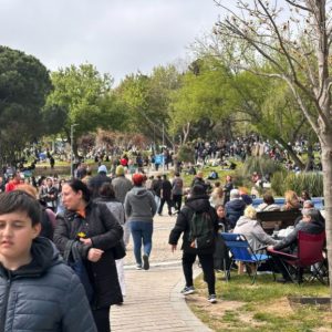 ‘I grabbed my cat and ran’: Istanbul panics as earthquake hits