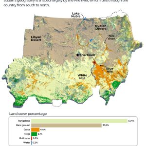 Satellite imagery reveals how Sudan’s war scorched its ‘breadbasket’
