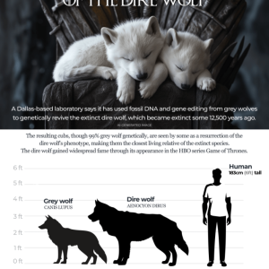 Has the dire wolf come back to life? Here is what we know