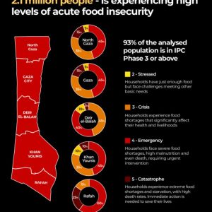 Starvation by design: How Israel turned food into a weapon of war in Gaza