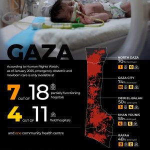 ‘Five babies in incubator’: HRW on danger to pregnant women, babies in Gaza