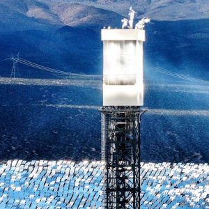 Regulators allow Obama-era solar plant to kill thousands of birds annually, investigation finds