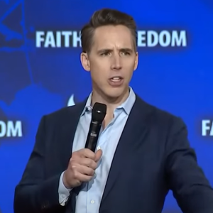 Hawley reignites ‘PELOSI Act’ push to ban lawmakers from trading stocks