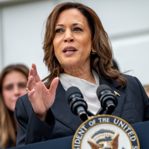 Harris snubs one of the few Dems open to being her VP: report