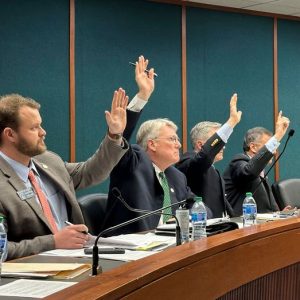 Georgia bill passed in state Senate likened to ‘DOGE Lite’