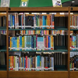 Texas strips protections for teachers, parents who share “obscene” material with children