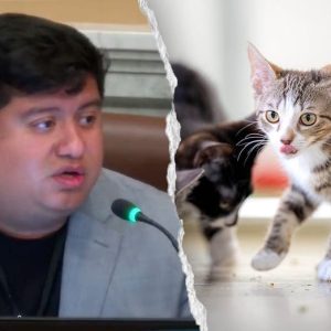 Blue state councilman mocked after claiming self-driving cars are ‘murdering’ pets: ‘Hide your cats’