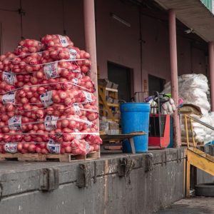 SNAP cutoff could hurt Texas grocers and the rest of the economy, experts say