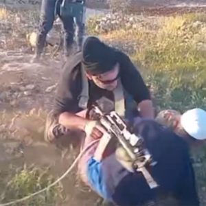 Israeli settler attacks show new level of violence, organisation