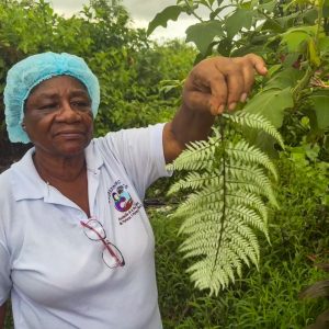 How Colombia’s traditional midwives serve as lifelines to rural communities