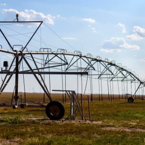 Texas farmers face mounting expenses as droughts worsen