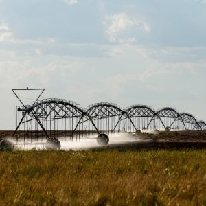 Will Republican control of Congress lead to updated ag laws? Texas farmers hope so.