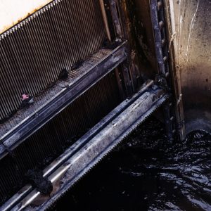 EPA report says “forever chemicals” in sewage-based fertilizer pose cancer risk