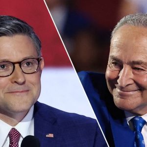 Schumer sounds off on GOP plan to tie citizenship voting requirement to spending bill