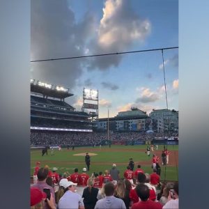 Congressional Baseball Game descends into chaos after protesters storm field