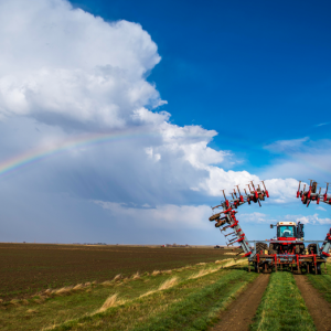 New poll finds about half of rural young people feel job market pressures in their hometowns