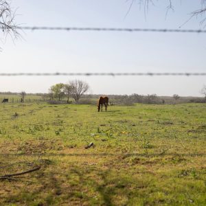 Texas moves close to ban on some land sales to foreigners
