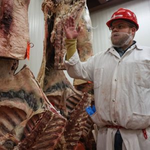 As lawmakers tried to name an official steak, Texas students learned how to find the best beef