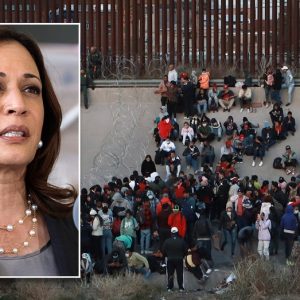How would a President Harris handle immigration, border crisis?