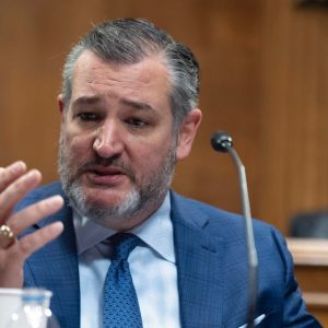 Ted Cruz urges White House to halt $1.25B in ‘digital equity’ funds