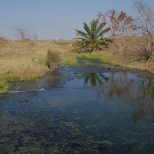 Testing finds toxic metals where Tesla lithium refinery discharges wastewater in South Texas