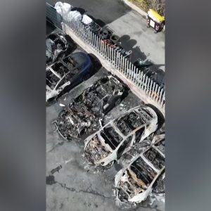 Fire destroys over a dozen Teslas at Rome dealership