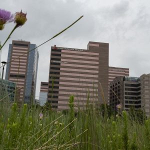 Feds drop charges against Texas doctor accused of leaking transgender care data