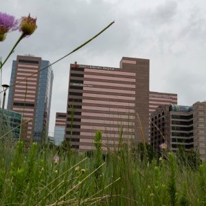Fight over trans medical care is at the core of leaked Houston health records case