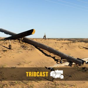 TribCast: One year after the fires