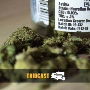 TribCast: Is it high time to regulate or ban THC in Texas?
