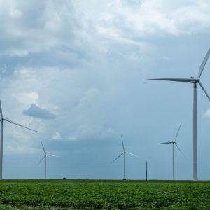 A new South Texas data center will rely on untapped renewable energy
