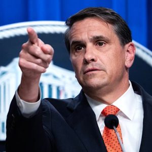 WATCH: Bondi successor reveals shocking number of fraud cases with eye-popping taxpayer theft