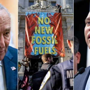 Left-wing dark money groups ramp up pressure on House and Senate Dems against key industry: ‘No Immunity’
