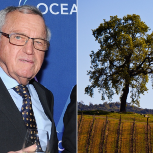 Swiss-born liberal megadonor slapped with lawsuit for allegedly groping, sexually harassing winery employee