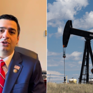 ‘Full court press’: Freshman GOP lawmaker reveals blueprint to flip script on green energy mandates