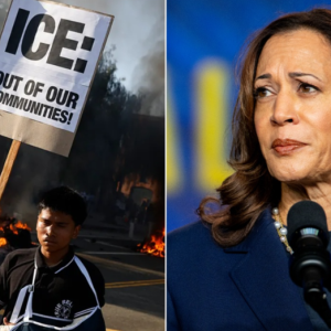 Harris ripped for ‘appalling’ LA ICE raids statement placing blame on Trump: ‘The country dodged a bullet’