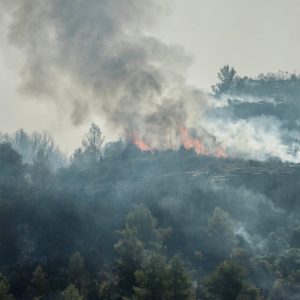 Wildfires and heatwaves grip southern Europe as evacuations ordered