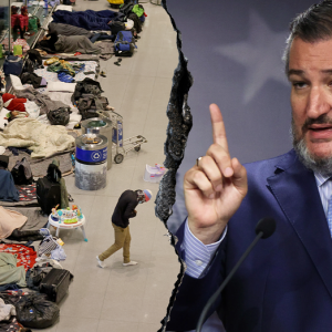 Ted Cruz slaps blue state authority with subpoena over sheltering migrants at airport: ‘Reckless’